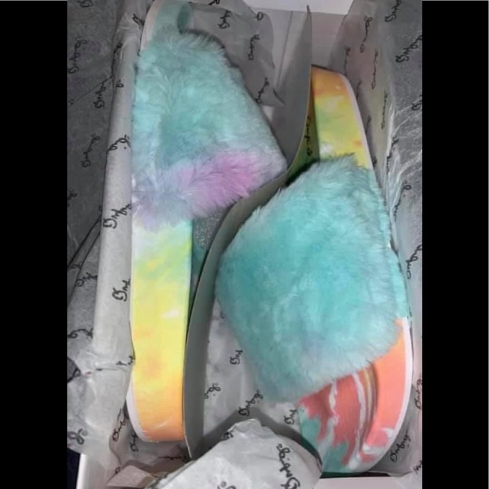 Slides (NEW)